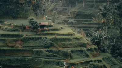 Ubud adventures in one day trip